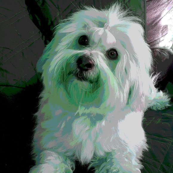 ❤Offers Welcome❤️ - Picture 2 of 11